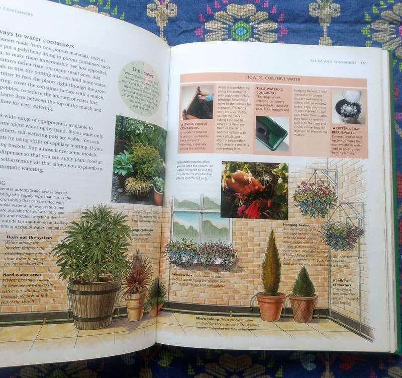 Reader's Digest Short Cuts to Great Gardens - The Essential Gardening Guide for Busy South Africans