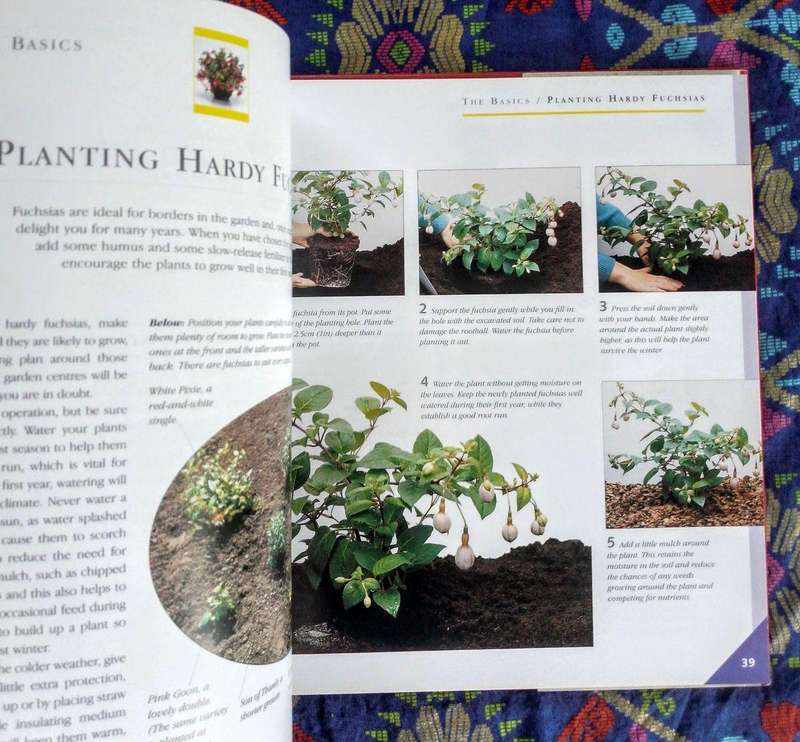 Practical Step-by-step Fuchsias by Carol Gubler and Neil Sutherland