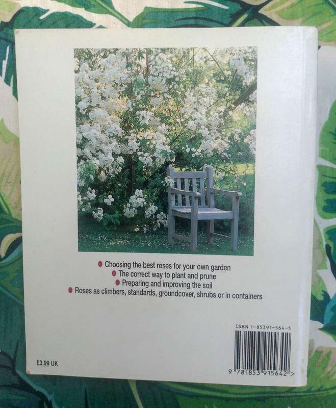 Success with Caring for Roses