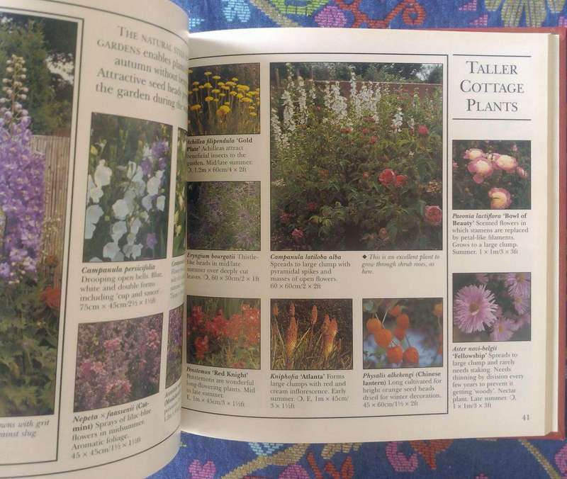 The Cottage Garden by Polly Bolton