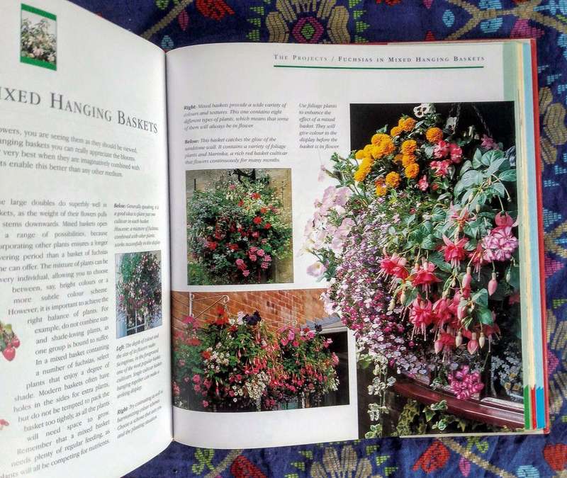 Practical Step-by-step Fuchsias by Carol Gubler and Neil Sutherland