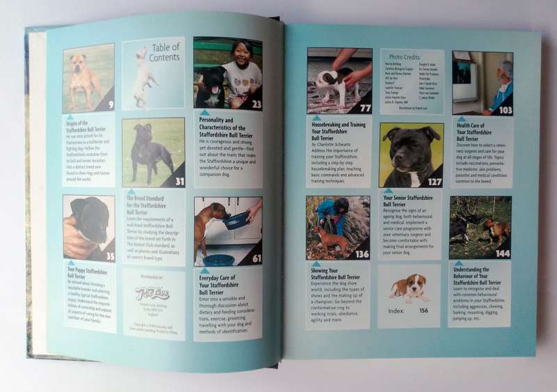 Staffordshire Bull Terrier by Jane Hogg Frome
