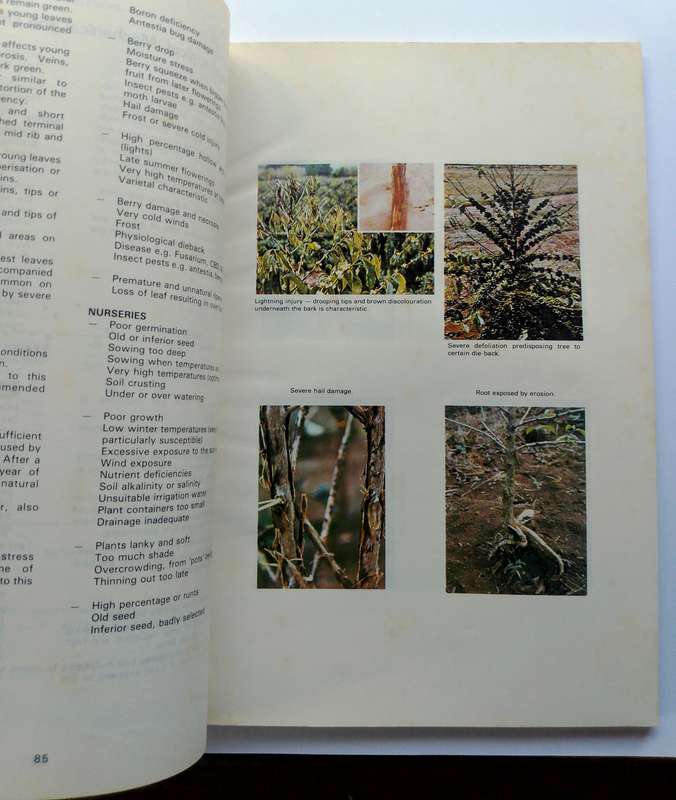 Coffee Handbook 1987