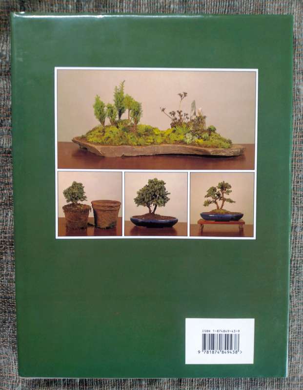 Create Your Own Bonsai With Everyday Garden Plants by Peter Chan