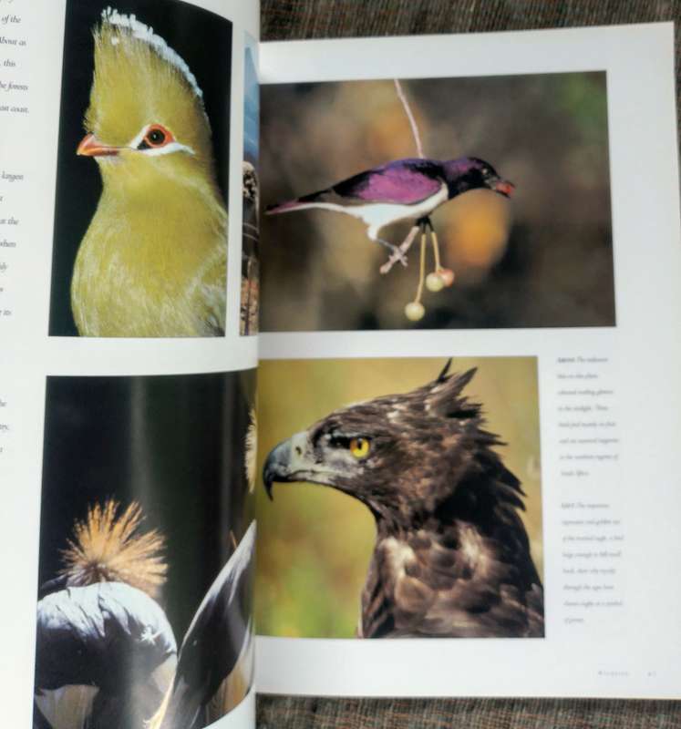 South Africa - A Glorious Country by Wilf Nussey