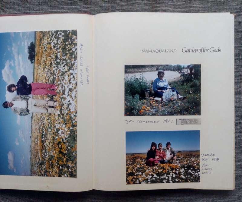 Namaqualand - Garden of the Gods by Freeman Patterson