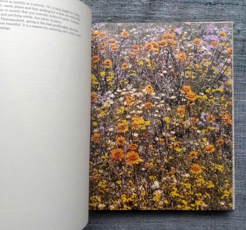 Namaqualand - Garden of the Gods by Freeman Patterson