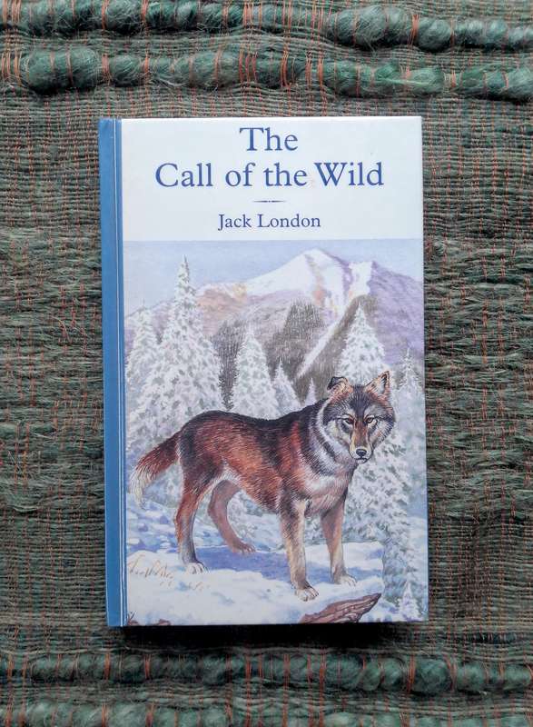 The Call of the Wild by Jack London (Hinkler Illustrated Classics)