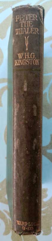 Peter the Whaler by William H.G. Kingston