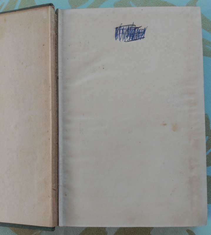Peter the Whaler by William H.G. Kingston