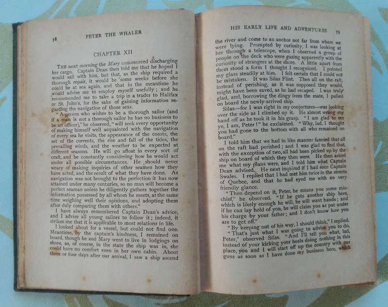 Peter the Whaler by William H.G. Kingston