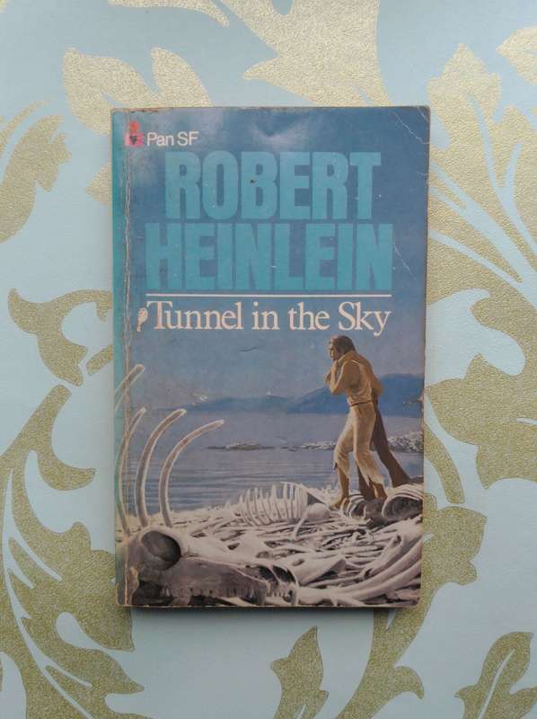 Tunnel in the Sky by Robert Heinlein