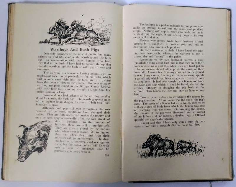 Call of the Bushveld by A.C. White