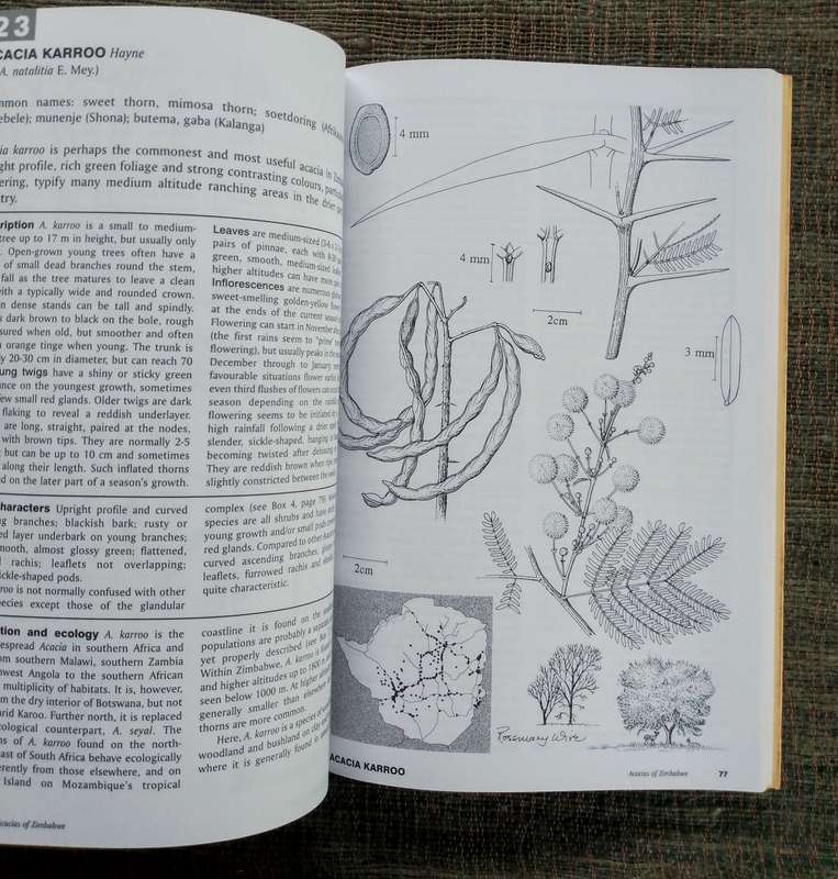 A Field Guide to the Acacias of Zimbabwe by Timberlake, Fagg and Barnes