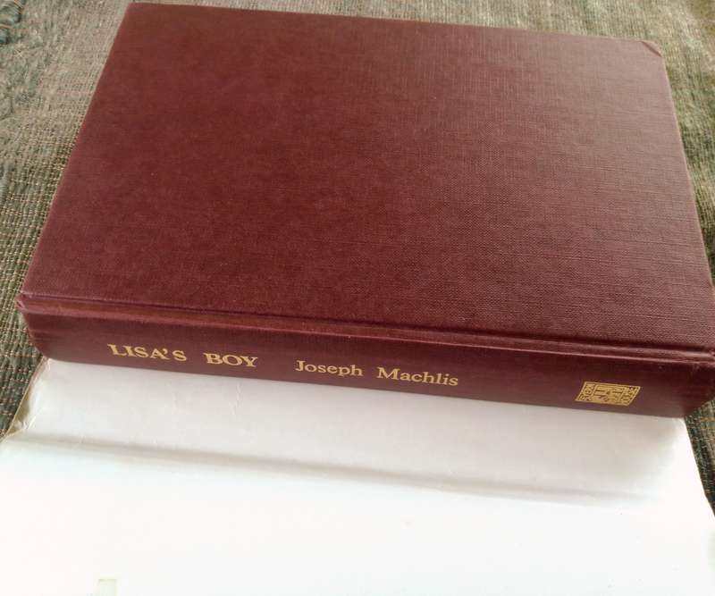 Lisa's Boy by Joseph Machlis