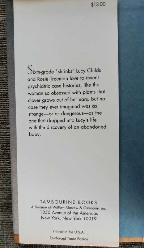 Lucy Forever, Miss Rosetree and the Stolen Baby by Susan Shreve
