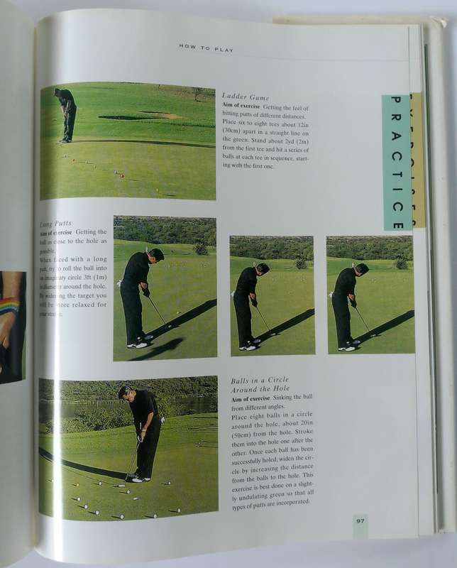 Faults and Fixes by David Leadbetter