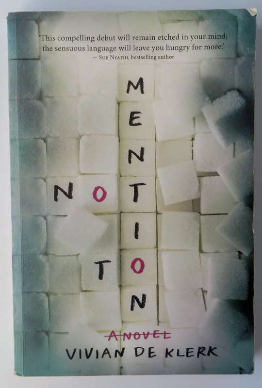 Not to Mention by Vivian de Klerk
