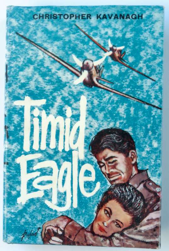 Timid Eagle by Christopher Kavanagh