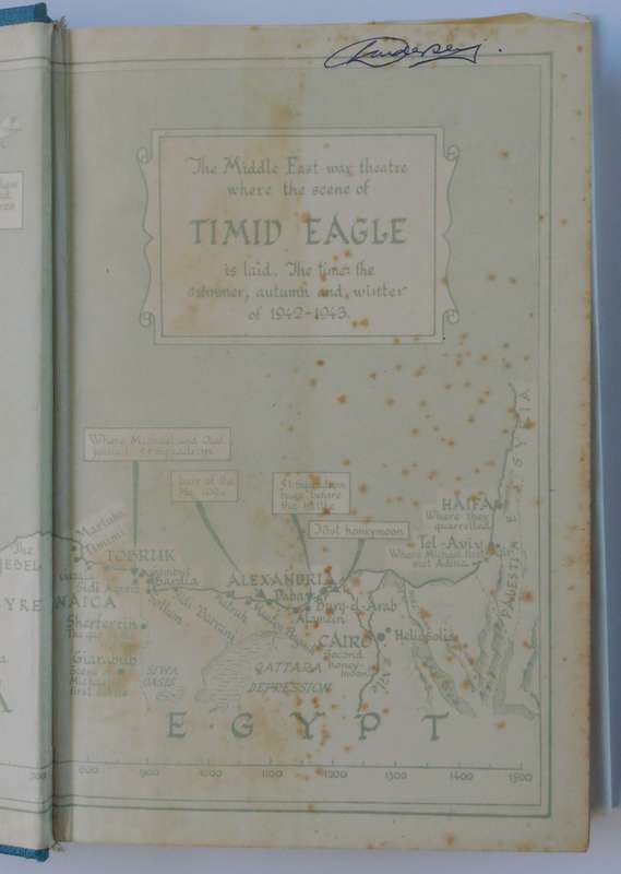 Timid Eagle by Christopher Kavanagh