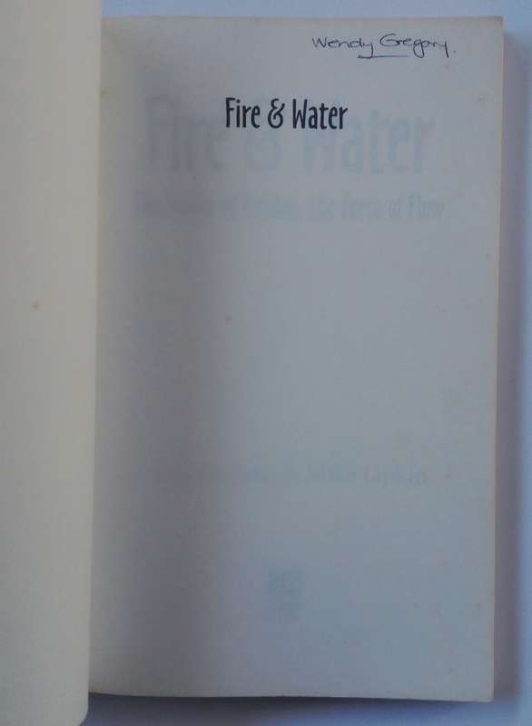 Fire & Water - The Power of Passion, The Force of Flow by Mike Lipkin & Reg Lascaris
