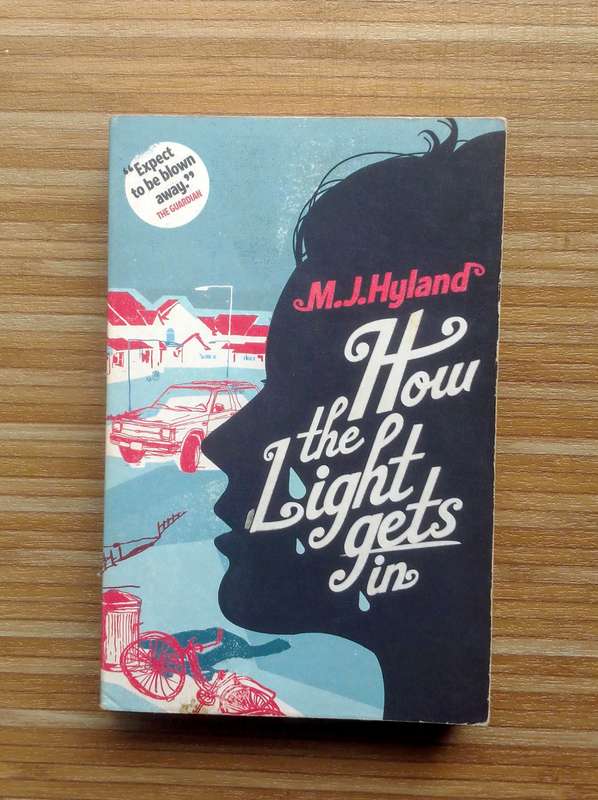 How the Light Gets In by M.J. Hyland