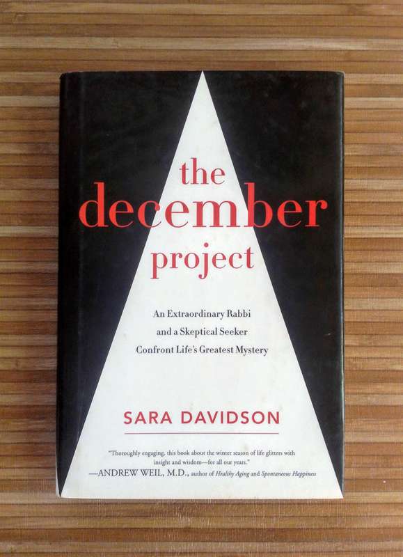 The December Project by Sara Davidson