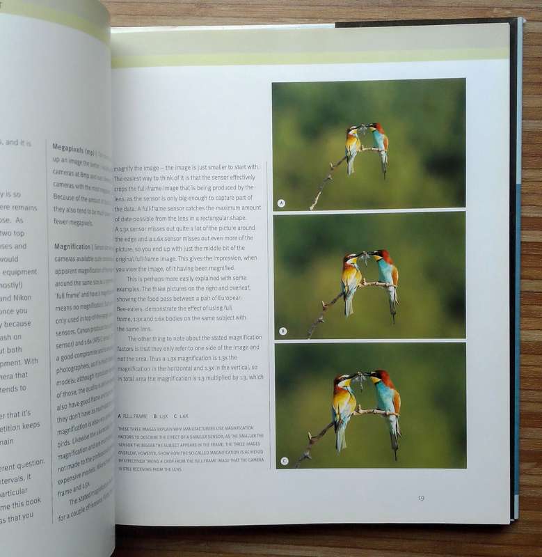 Creative Bird Photography by Bill Coster