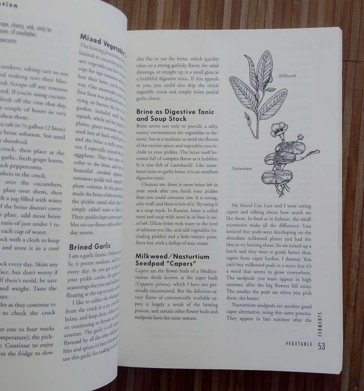 Wild Fermentation by Sandor Ellix Katz