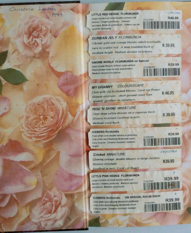 Roses by Esther Geldenhuys