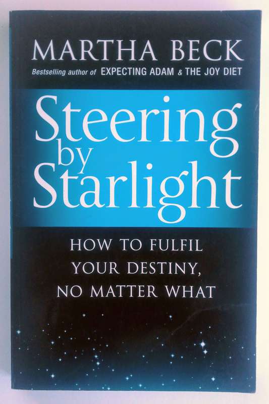 Steering by Starlight by Martha Beck