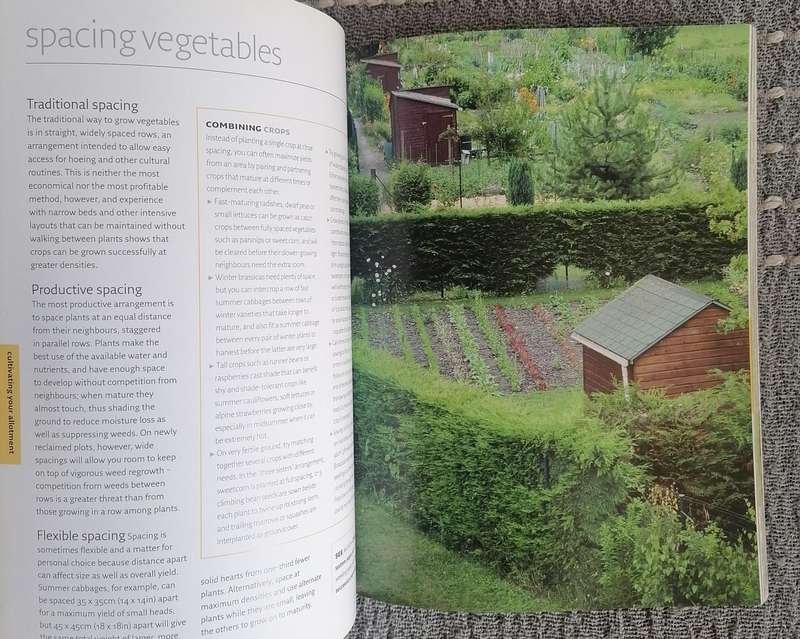 The Allotment Book by Andi Clevely