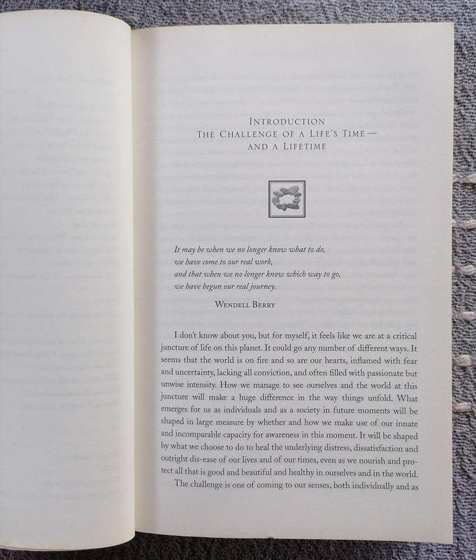 Coming to Our Senses by Jon Kabat-Zinn