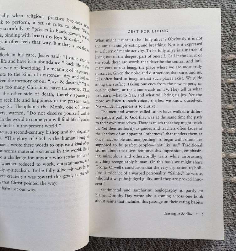 The Saints Guide to Happiness by Robert Ellsberg