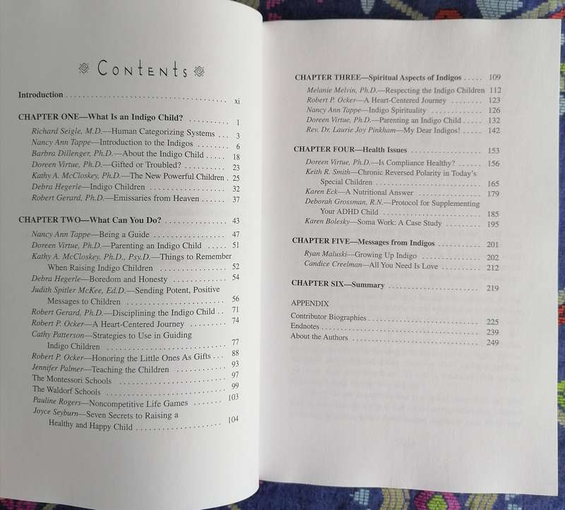The Indigo Children by Lee Carroll and Jan Tober