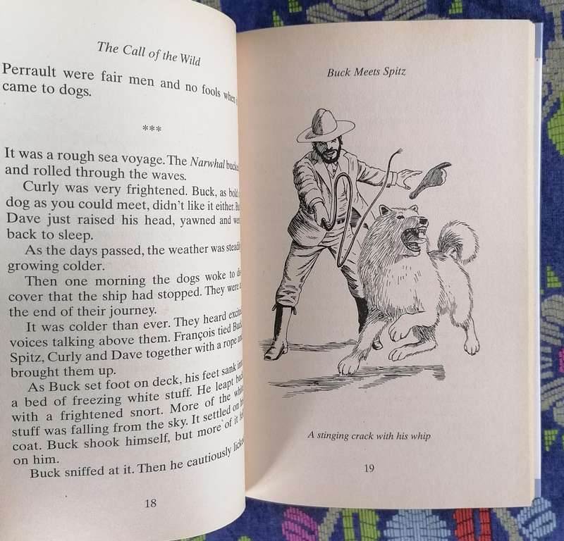 The Call of the Wild by Jack London adapted by Archer Oliver  (Hinkler Illustrated Classics)