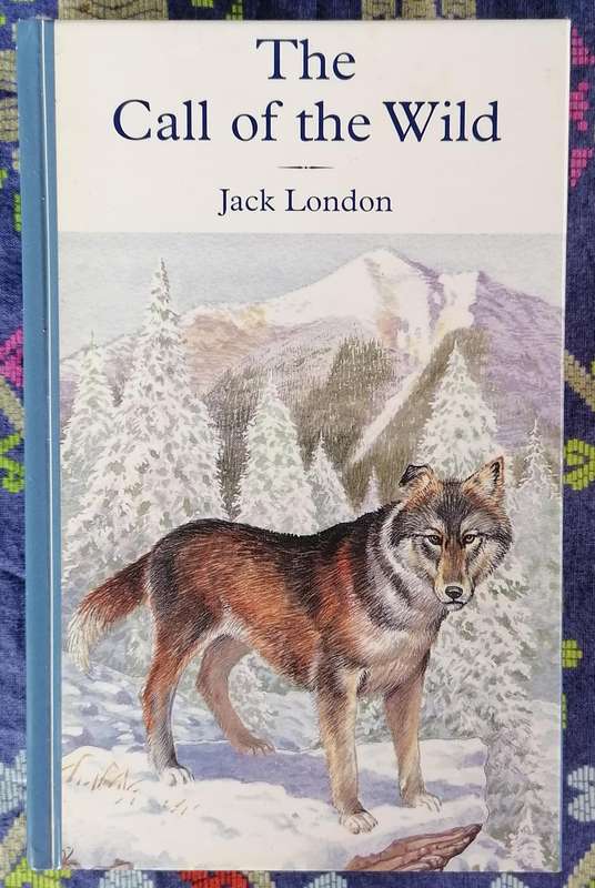 The Call of the Wild by Jack London adapted by Archer Oliver  (Hinkler Illustrated Classics)