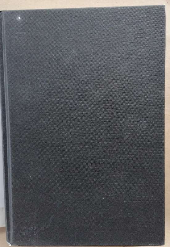 'n Vurk in die Pad - Andre P. Brink