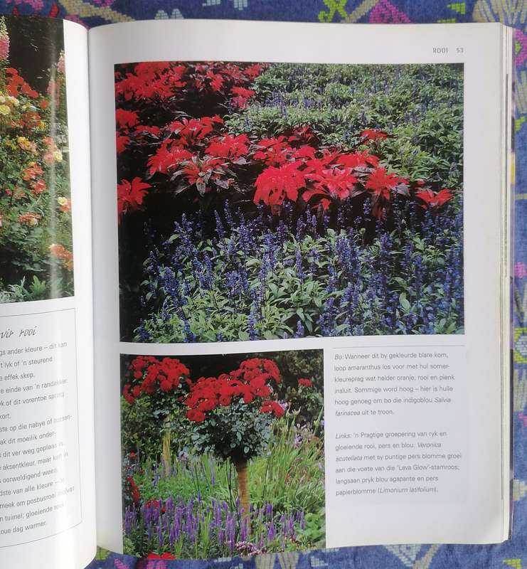 Kleur vir jou Tuin - Nancy Gardiner