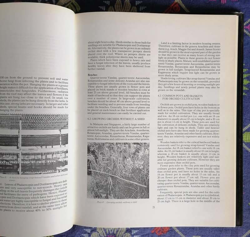 Orchids - Their Cultivation and Hybridization by Lee Chew Kang