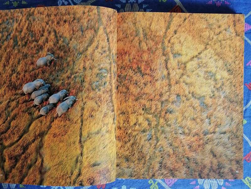 The Essential Africa by Michael Poliza