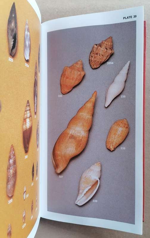 South African Shells - A Collector's Guide by Deirdre Richards