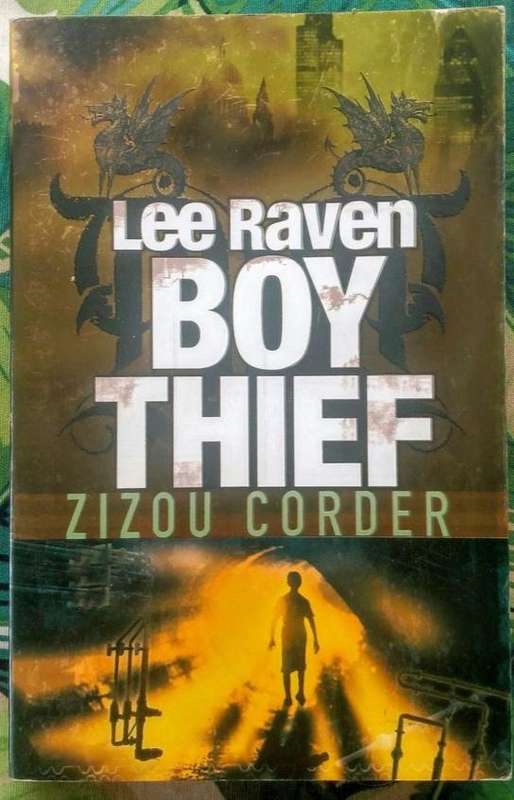 Lee Raven Boy Thief by Zizou Corder