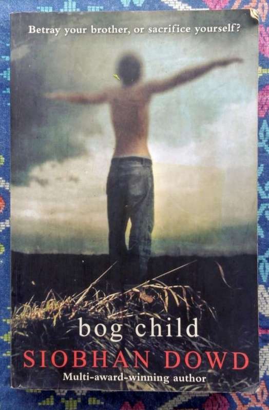 Bog Child by Siobhan Dowd