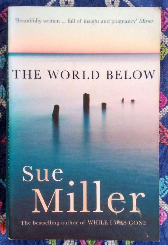The World Below by Sue Miller