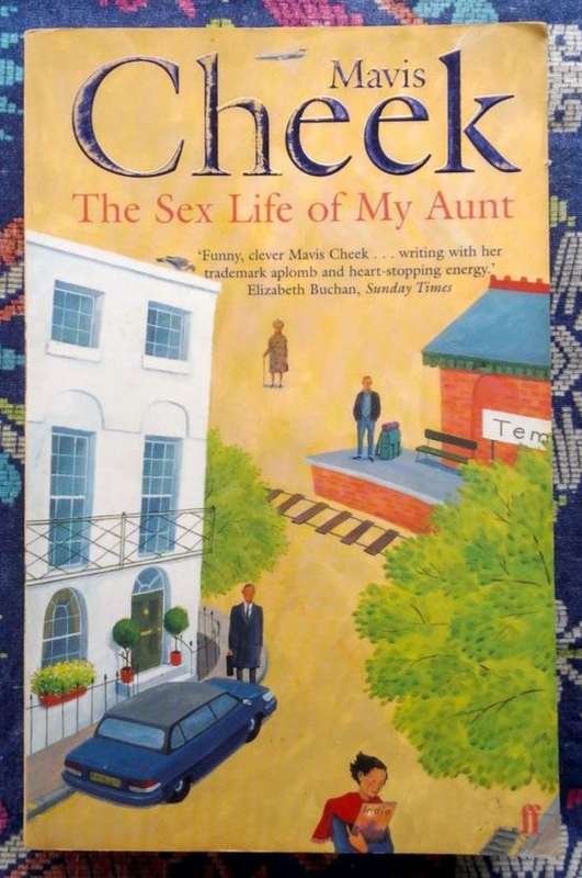 The S*x Life of My Aunt by Mavis Cheek