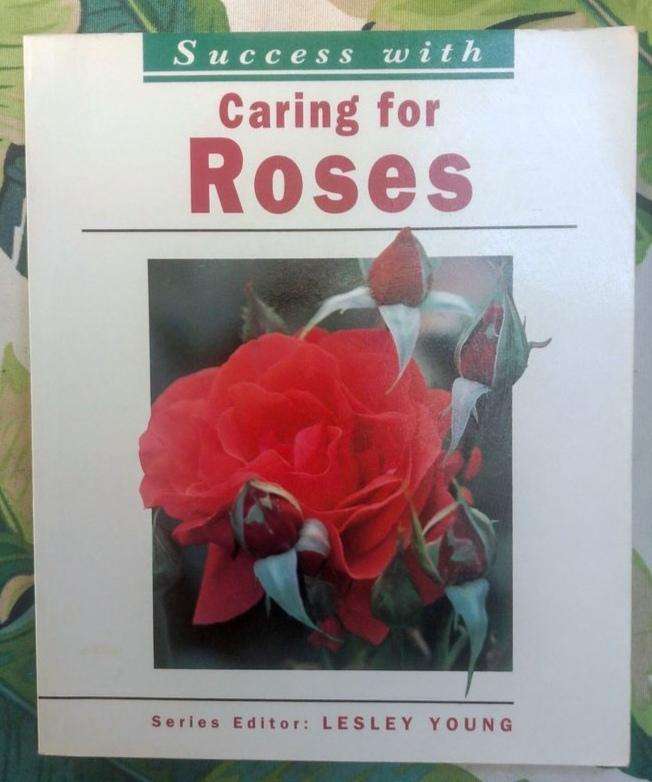 Success with Caring for Roses