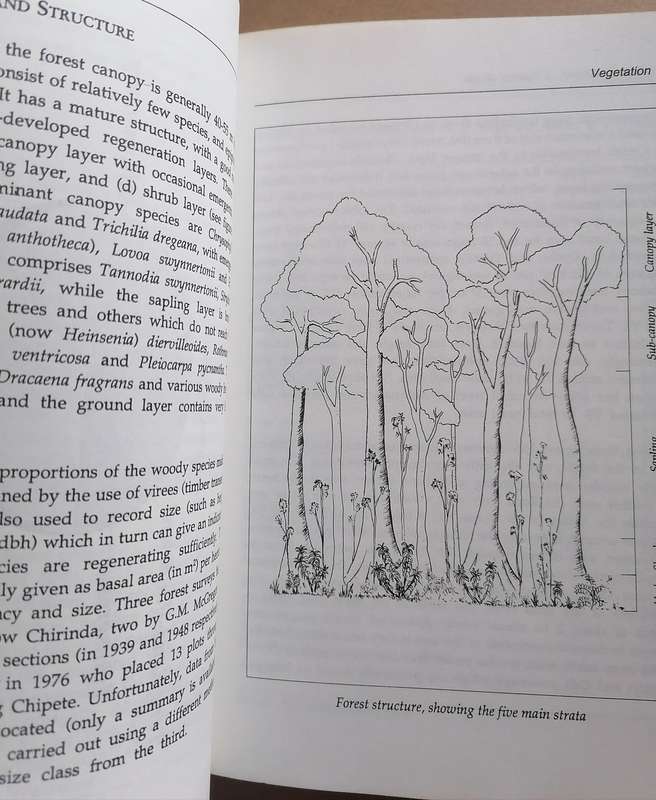 Chirinda Forest - A Visitor's Guide edited by Jonathan Timberlake and Phil Shaw