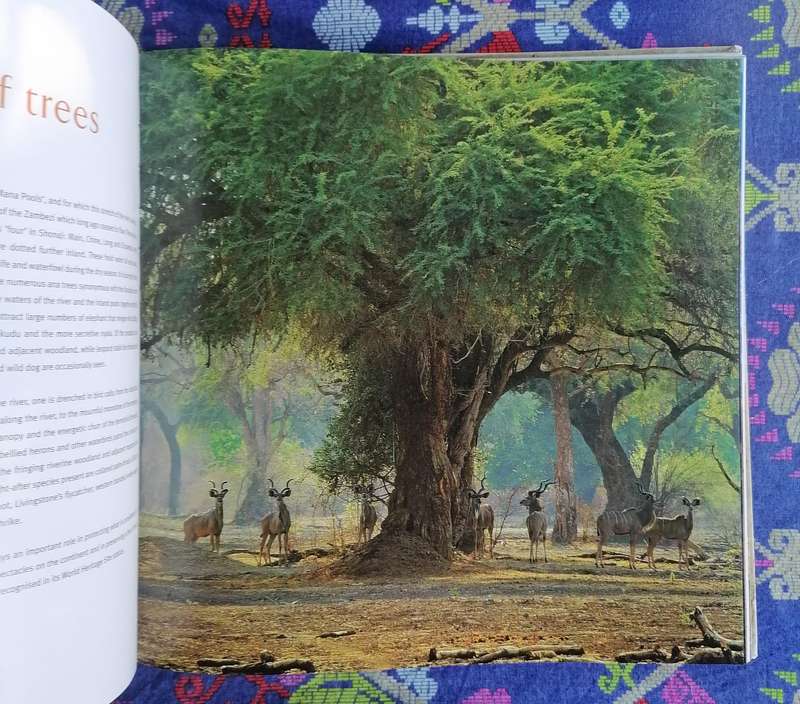 The Wilderness Landscape (Wilderness Safaris)