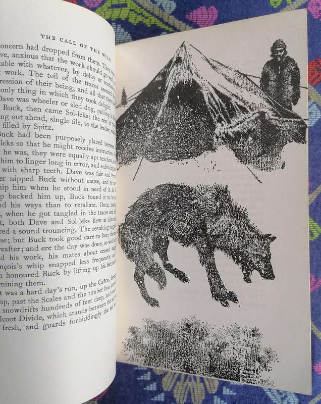 The Call of the Wild by Jack London, illustrated by Charles Pickard  (Dent Illustrated Classics)